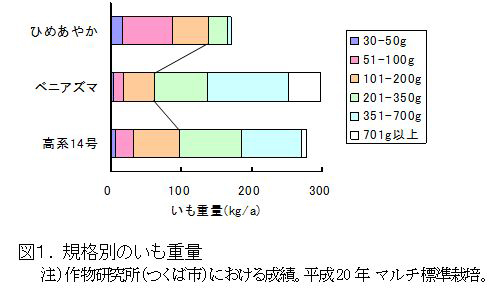 図1 規格別のいも重量