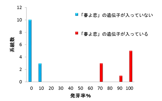 図4.リン酸化酵素を作る遺伝子がコムギの穂発芽を制御することを証明