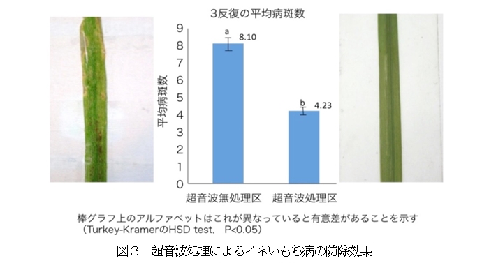 超音波処理によるイネいもち病の防除効果