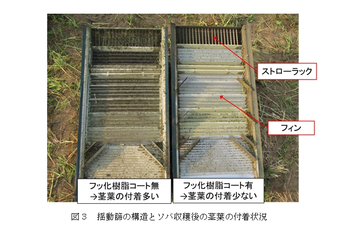 揺動篩の構造とソバ収穫後の茎葉の付着状況