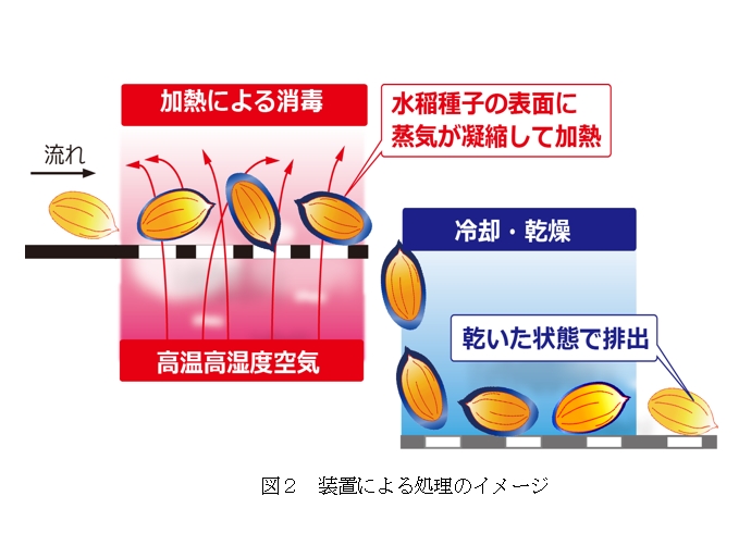 図2 装置による処理のイメージ