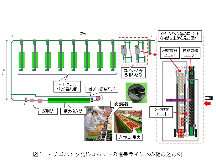 図1 イチゴパック詰めロボットの選果ラインへの組み込み例