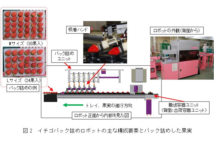 図2 イチゴパック詰めロボットの主な構成要素とパック詰めした果実