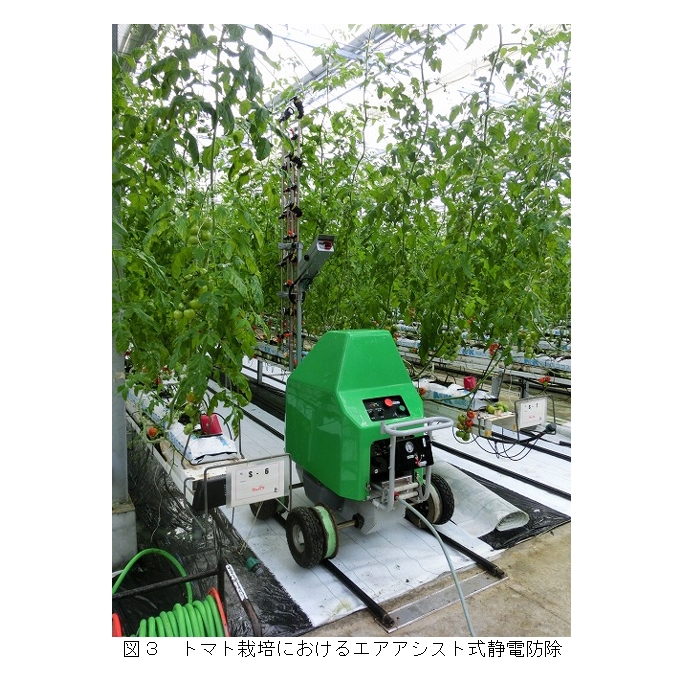 図3 トマト栽培におけるエアアシスト式静電防除