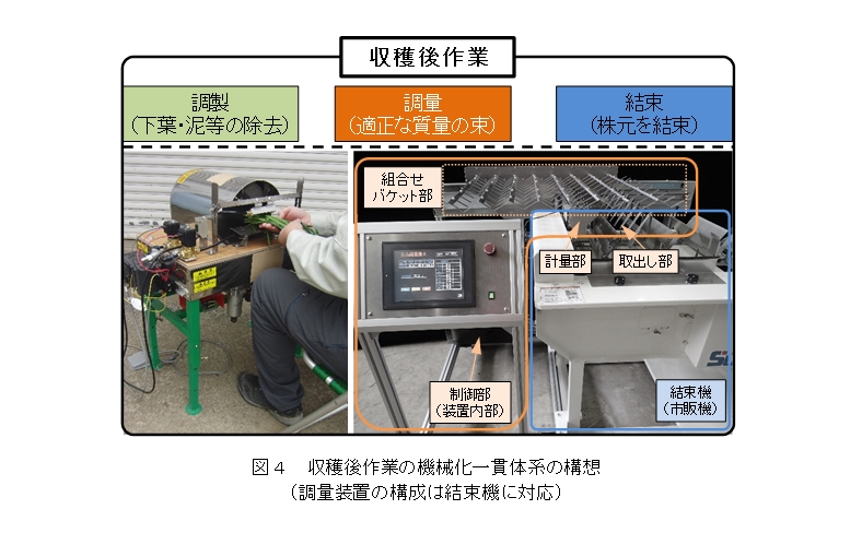 図4 収穫後作業の機械化一貫体系の構想 (調量装置の構成は結束機に対応)