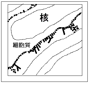 左図