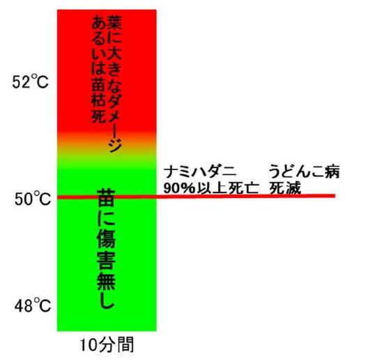 図2 10分間の蒸熱処理でのイチゴ苗と病害虫の耐熱性の関係