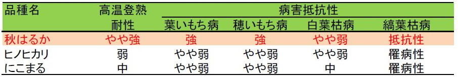 表1 「秋はるか」の高温登熟耐性と病害抵抗性