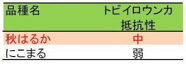 表2 「秋はるか」の虫害抵抗性