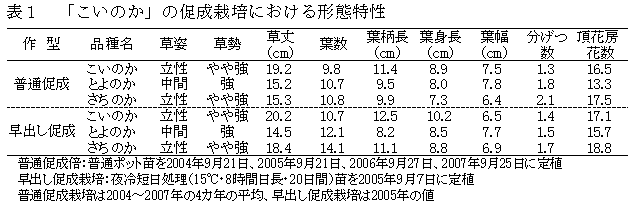 表1.「こいのか」の促成栽培における形態特性