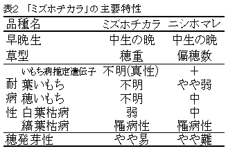 表2.「ミズホチカラ」の主要特性