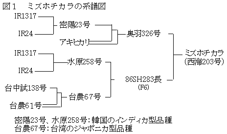 図1.ミズホチカラの系譜図