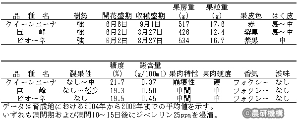 表1 「クイーンニーナ」の樹性および果実特性