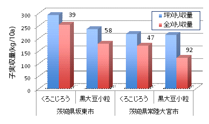 図1 現地栽培試験における子実収量