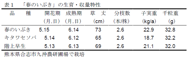 表1 「春のいぶき」の生育・収量特性