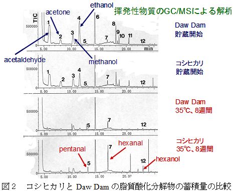 図2.コシヒカリとDawDamの脂質酸化分解物の蓄積量の比較