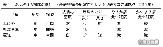 表1 「みはや」の樹体の特性(農研機構果樹研究所カンキツ研究口之津拠点 2010年)