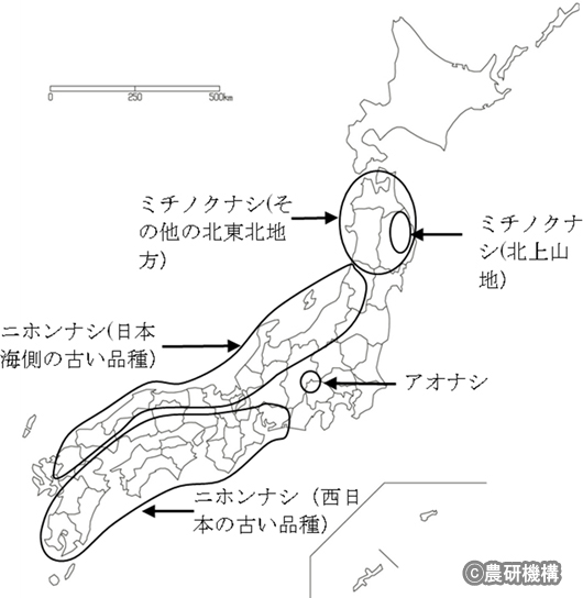 研究対象とした植物の収集地域