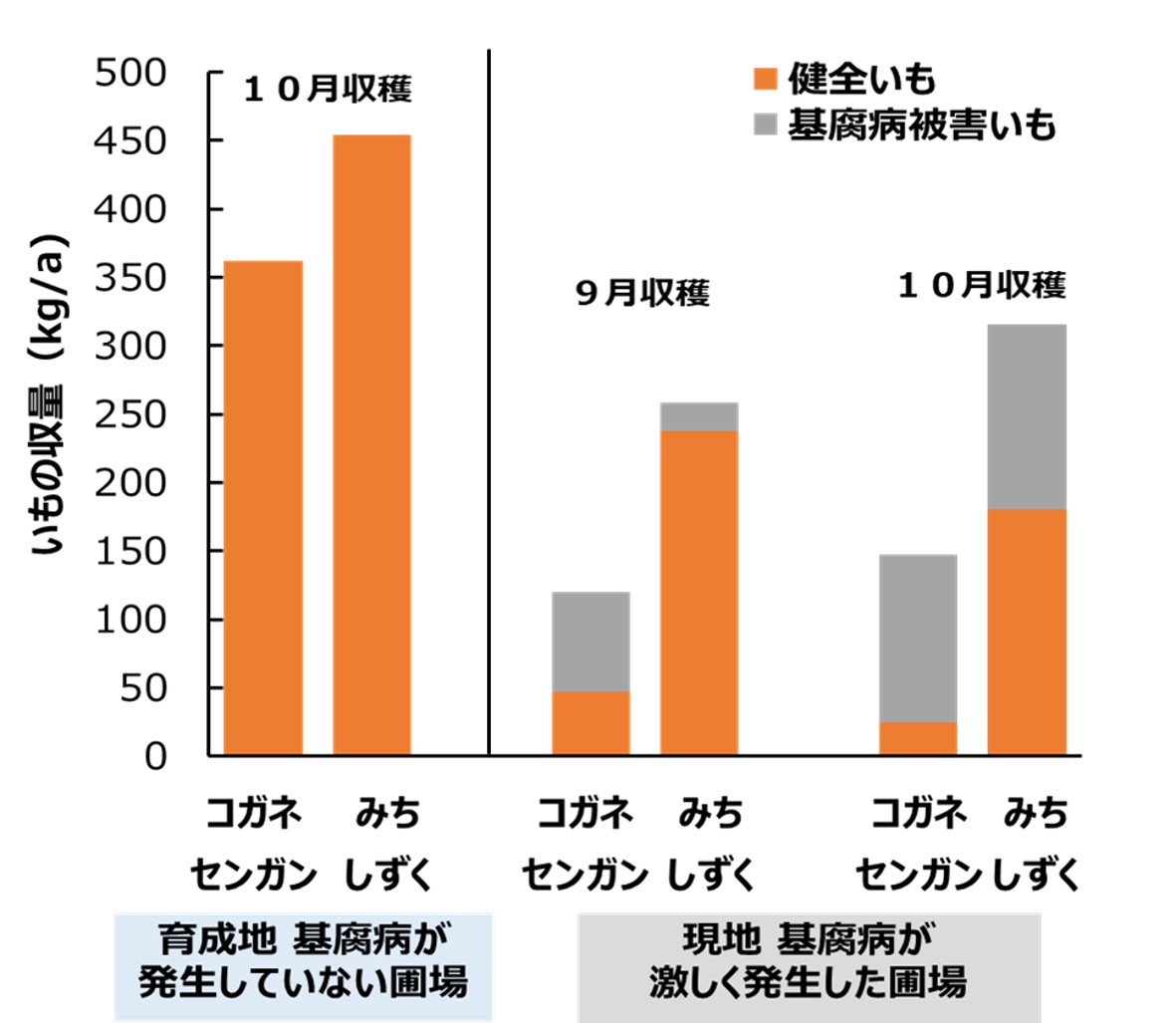 みち