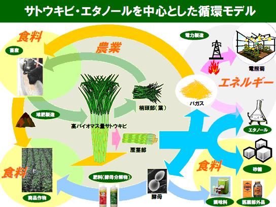 図4 サトウキビ・エタノールを中心とした循環モデル