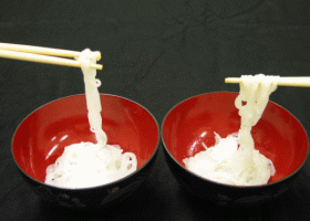 写真3.越のかおりの米麺