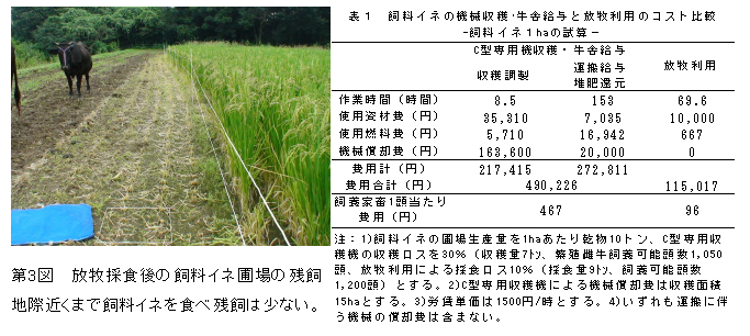 第3図.放牧採食後の飼料イネ圃場の残飼地際近くまで飼料イネを食べて残飼は少ない。 表1.飼料イネの機械収穫・牛舎給与と放牧利用のコスト比較