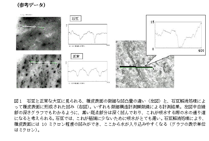 図1.石豆と正常な大豆に見られる、種皮表面の微細な凹凸量の違い(左図)と、石豆解消処理によって種皮表面に形成された凹み(右図)