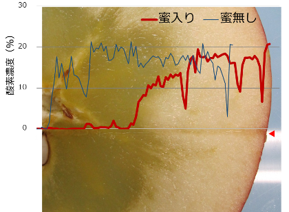 図4 果実内部の酸素濃度分布