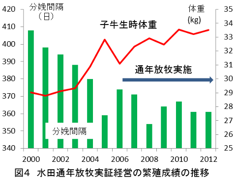 図4 水田通年放牧実証経営の繁殖成績の推移