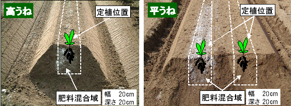 図3 うね内部分施用法による資材混合状況と施用範囲