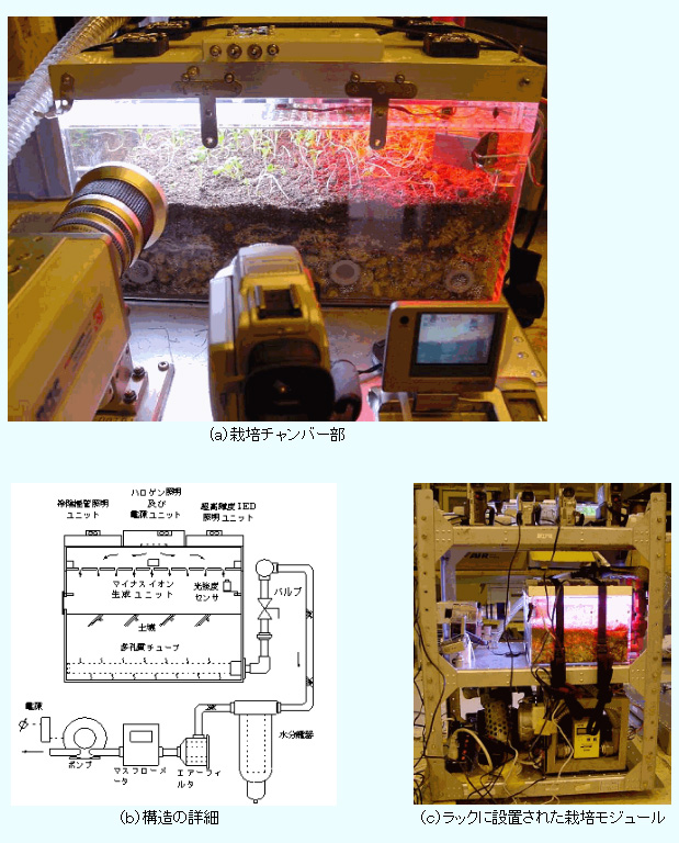 図1 植物栽培モジュール