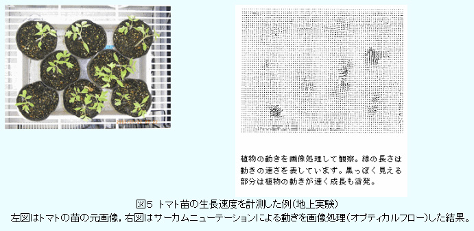 図5 トマト苗の生長速度を計測した例(地上実験)