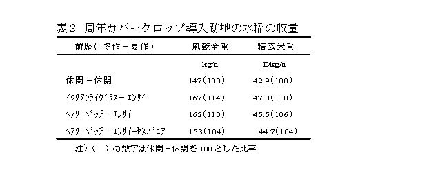 表2 周年カバークロップ導入跡地の水稲の収量