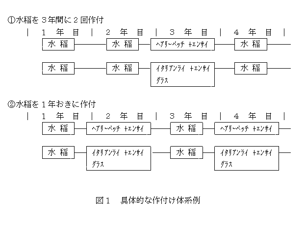 図1 具体的な作付け体系例