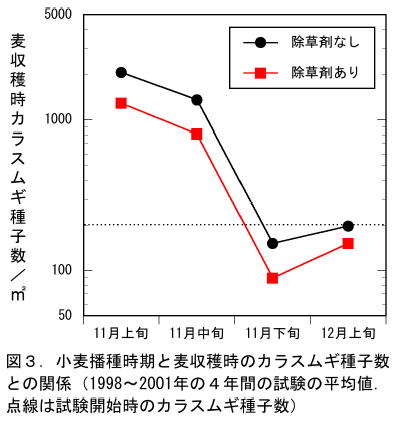 図3 小麦播種時期と麦収穫時のカラスムギ種子数との関係