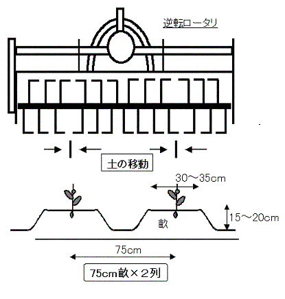 図1 作業機の爪配列と畝断面形状