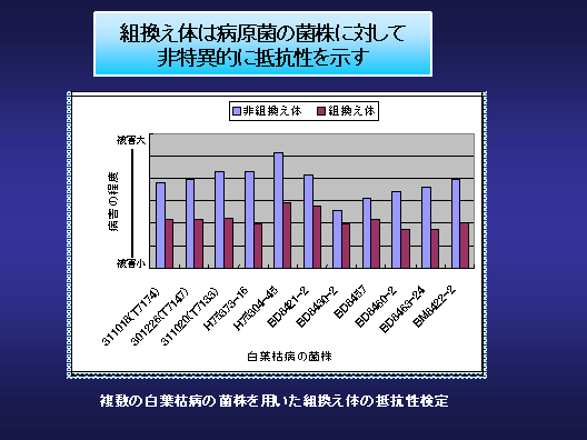 図3 組換え体は病原菌の菌株に対して非特異的に抵抗性を示す