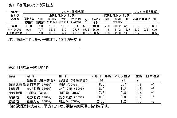 表1 「春陽」のタンパク質組成