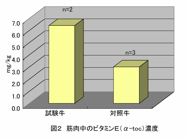 図2 筋肉中のビタミンE(α-toc)濃度