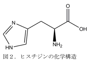 図2.ヒスチジンの化学構造