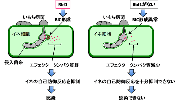 図3