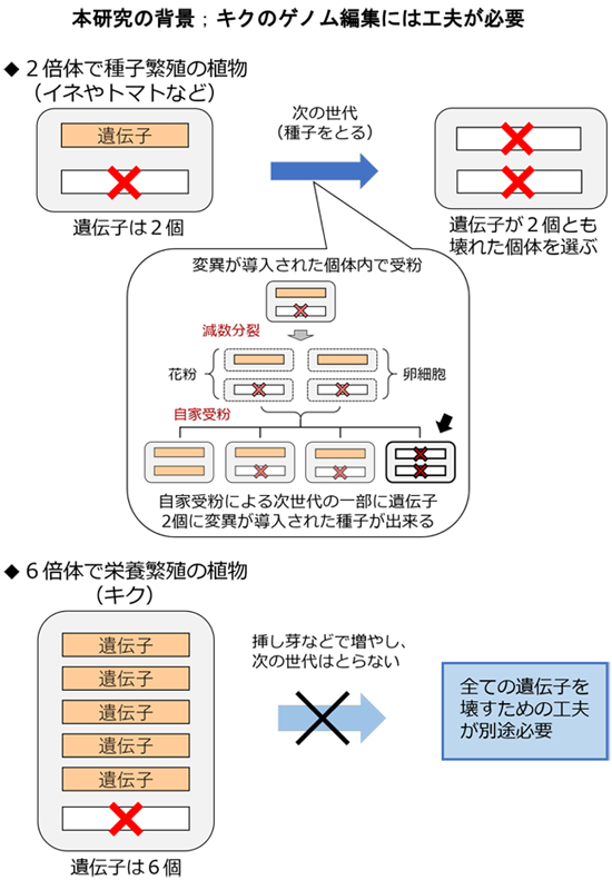 図1