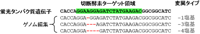 図2