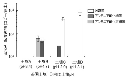 図2 茶園土壌中のamoA転写産物(mRNA)