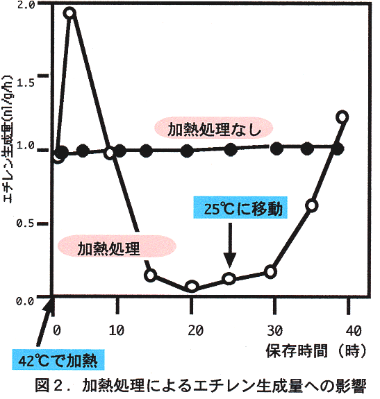 図2 加熱処理によるエチレン生成量への影響