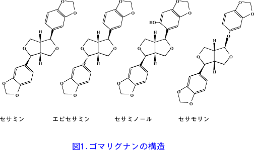 図1 ゴマリグナンの構造