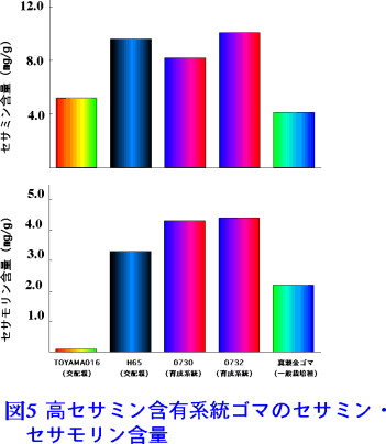 図5 高セサミン含有系統ゴマのセサミン-セサモリン含量