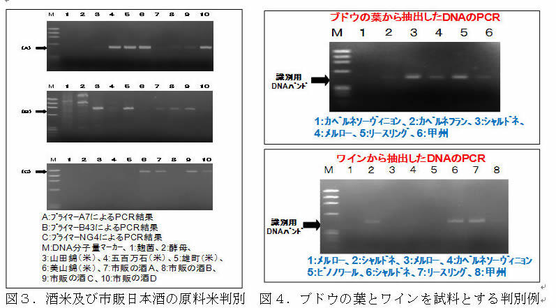 /publicity_report/press/files/nfri070809-1-02.jpg
