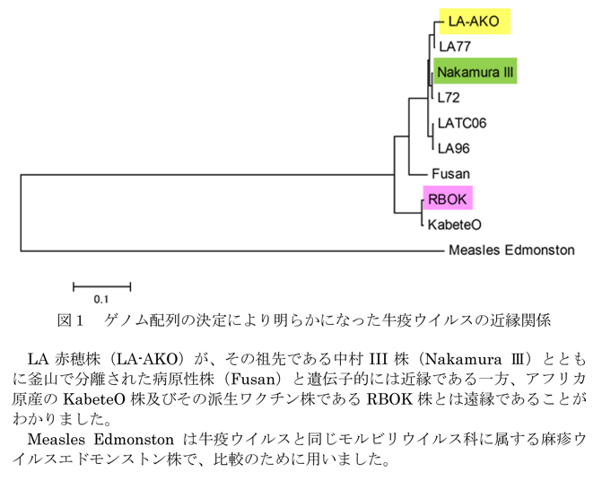 図1