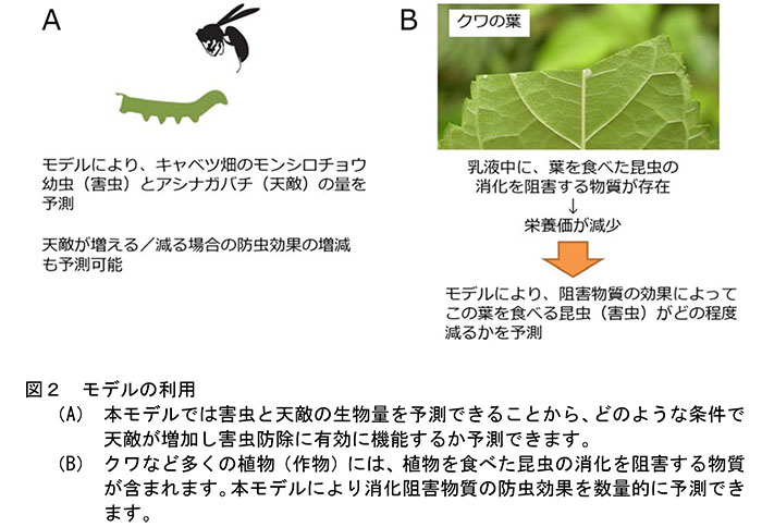 図2